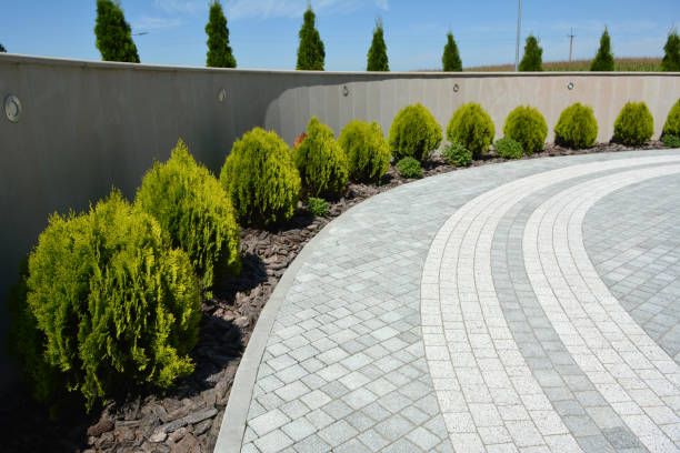 Best Driveway Pavers Near Me  in Twin Lakes, CO