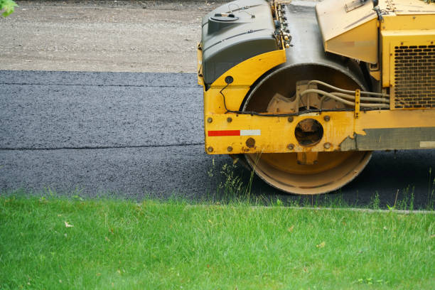 Best Custom Driveway Pavers  in Twin Lakes, CO